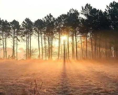 Campingplads Mobilhome Entre Lac&ocean Et Proche De La Velodyssee